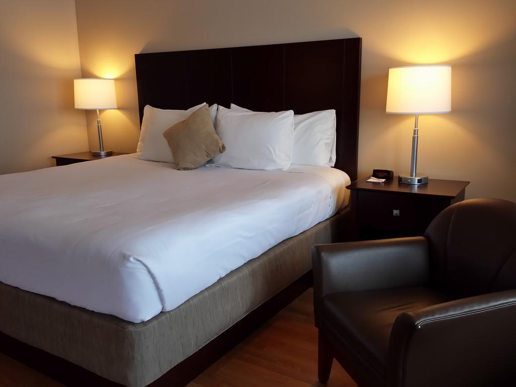 Yankee Clipper Motel Belfast Ngoại thất bức ảnh